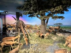 -国家自然博物馆