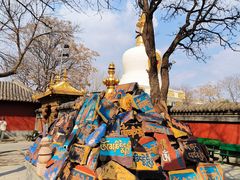 -护国法轮寺