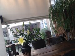 6号花园客栈-6号花园别墅酒店