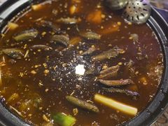 -金海椒罐罐鲢鱼(东方桂苑店)