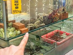 -寻味顺德·南记酒家·传统顺德菜·鱼生(广源路店)