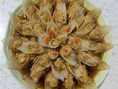 -田螺阿姨自营月嫂·育儿嫂(高新店)