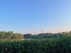 -沿途四季·云南菜·诗酒茶(蓝色港湾店)