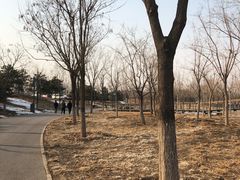 -东郊湿地公园