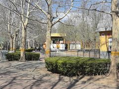 -朝阳公园游乐园