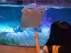 -沈阳海洋探索中心