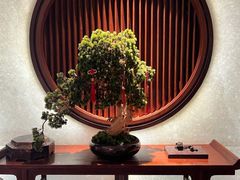 -隐厨·中国菜馆(三里屯T+MALL店)