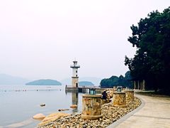 -逸廊大堂吧-下午茶·简餐-千岛湖自由洲际殿