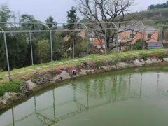 -杭州屏风山越野车营地·团建别墅轰趴民宿