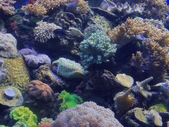 -珠海长隆海洋王国