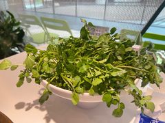 -烹然四季椰子鸡火锅(姚家园万象汇店)