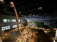 -自贡恐龙博物馆