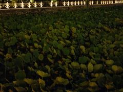 -迎泽公园
