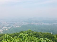 -紫金山山顶公园