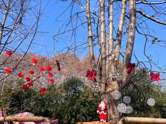 -HERRE·FARM 赫尔露营农场·团建聚会包场