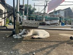 -东钱湖小普陀景区