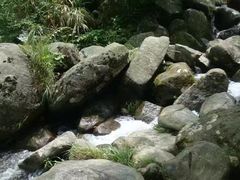 -大围山国家森林公园