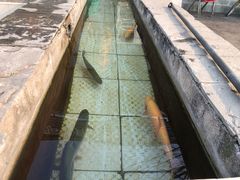 -钰田大院·碳烤虹鳟鱼·怀柔地道农家菜(雁栖湖店)