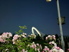 -南京眼步行桥