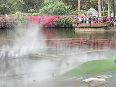 -西双版纳原始森林公园