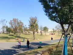 -盘龙城国家考古遗址公园