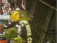 -成都娃娃花园餐厅 (南艺旗舰店)