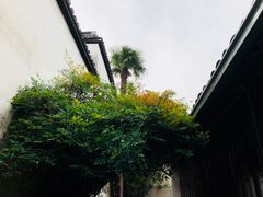 景点-乌镇东栅景区-茅盾故居