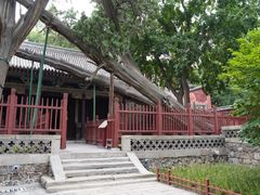-晋祠公园