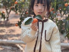-广东惠东海龟国家级自然保护区