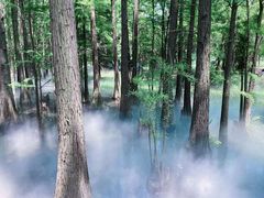 -东湖落雁景区