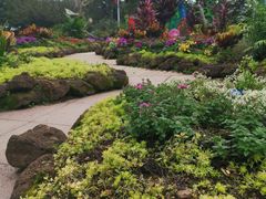 -南山植物园