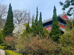 -青岛崂山太清宫