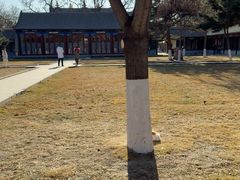 -护国法轮寺
