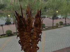 -长春净月潭喜来登酒店·盛宴标帜餐厅