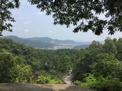 -火炉山森林公园