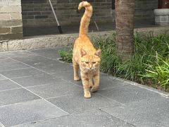 -万寿八仙宫