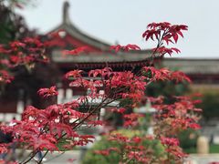 -法门文化景区