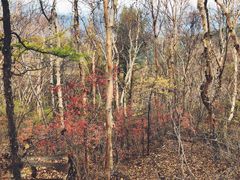 -白草畔自然风景区