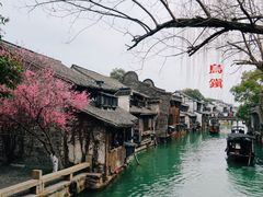 -乌镇西栅景区