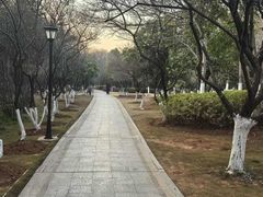 -月湖风景区