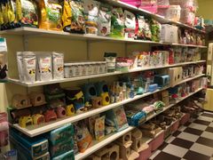 -龙猫仔乐园(惠福东路店)