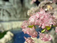 -中铁花水湾温泉酒店(大邑店)