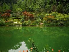 -缙云山景区