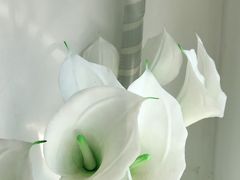 -福奈特洗衣洗鞋(东方路店)