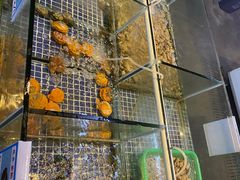 -庆余生平价生猛海鲜(海棠湾林旺夜市店)