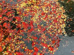 -储奇门鳝鱼火锅(总店)