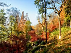 -莫干山风景区