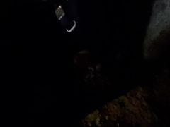 -有局·成都市井烧烤·精酿啤酒(双楠店)