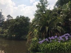 -墨尔本皇家植物园