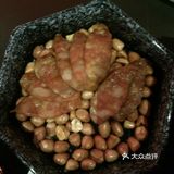 夜店？烤鱼？